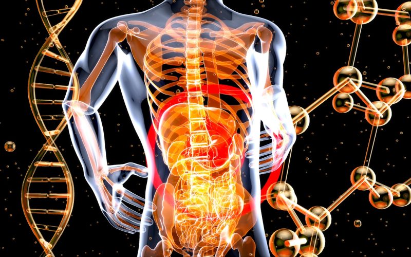 The Gut-Brain Connection: How Your Diet Impacts Mental Health